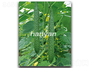 �h��11̖-�S�ϷN��-�h��