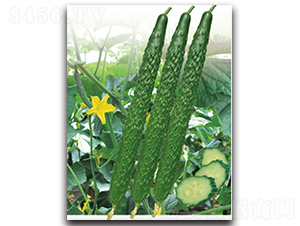 �h��12̖-�S�ϷN��-�h��