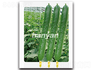 �h��һ̖-�S�ϷN��-�h��