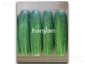 �h��һ̖-�S�ϷN��-�h��