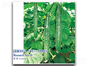 �h��18̖�S��-�S�ϷN��-�h��