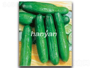 �h������7̖-�S�ϷN��-�h��