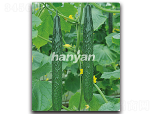 �h��9̖-�S�ϷN��-�h��