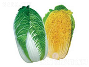 ����-�ײ˷N��-���N