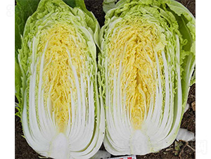 ȫ��2̖-�ײ˷N��-���N