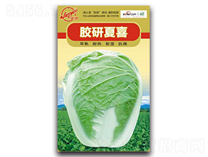 �z����ϲ-�Ĳ��ײ˷N��-�z��