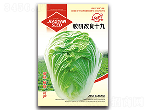 �z�и���ʮ��-�Ĳ��ײ˷N��-�z��