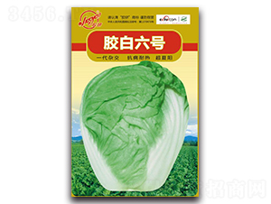 �z����̖(h��o)-�Ĳ��ײ˷N��-�z��