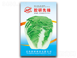 �z�����h-�Ĳ��ײ˷N��-�z��