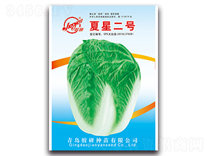 夏星二號(hào)-夏播白菜種子-膠研