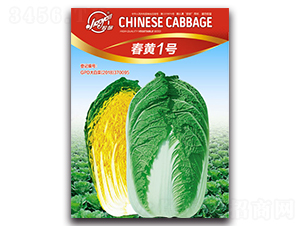 春黃1號(hào)-春播白菜種子-膠研