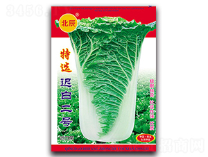 ���x�t�׶�̖(h��o)-�t�ײ˷N��-�����N�I(y��)