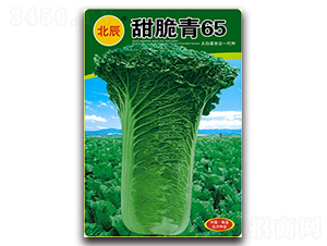 �����65-�t�ײ˷N��-�����N�I(y��)