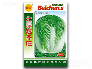 ����Խ����-��ײ˷N��-�����N�I(y��)