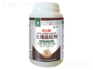 �������Ʉ�-������-ʢ�a(b��)-�Ʒ����