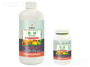 ƿ�bƝ��(r��n)����Ԫ��ˮ�ܷ���-С����-�Ʒ����