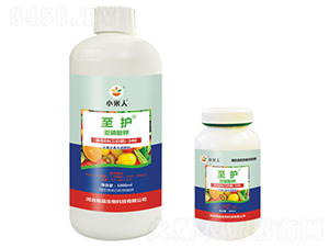 ƿ�b���o�������-С����-�Ʒ����