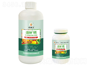 ƿ�bʢ�a�}-С����-�Ʒ����