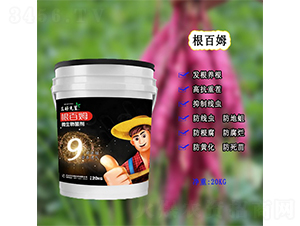 ΢�������-����ķ-������