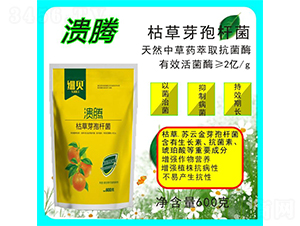 �ݲ�ѿ�ߗU��-���v-������