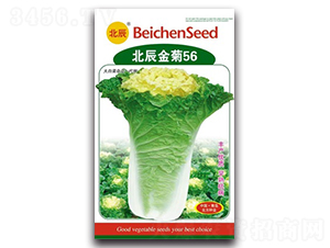 �������56-��ײ˷N��-�����N�I(y��)