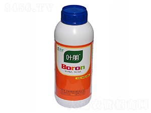 �ЙC���-�~��-ïʩ�r�I(y��)