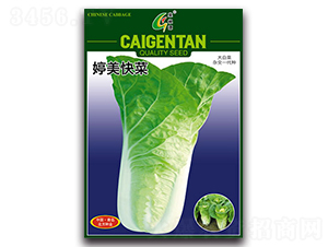 �������-��˷N��-�����N�I(y��)