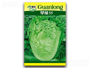 ��G55-��ײ˷N��-�����N�I(y��)