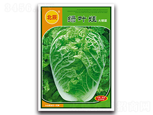 �G�~��-��ײ˷N��-�����N�I(y��)