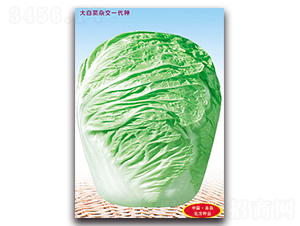 �����ĕ�-��ײ˷N��-�����N�I(y��)