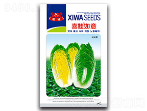 ϲ������-�ײ˷N��-�����N�I(y��)