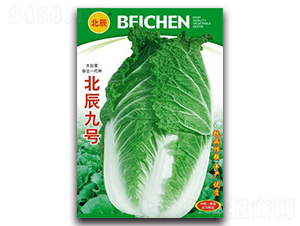 ������̖(h��o)-��ײ˷N��-�����N�I(y��)