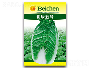 ������̖(h��o)-��ײ˷N��-�����N�I(y��)