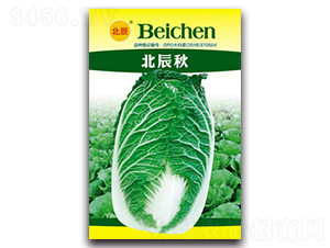 ������-��ײ˷N��-�����N�I(y��)