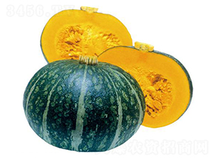 �{����-�ϹϷN��-�����r�I(y��)