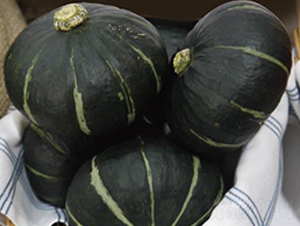 ؐ���R��-�ϹϷN��-�����r�I(y��)