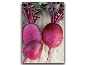 �ϵ�-�}���N��-�����r(n��ng)�I(y��)