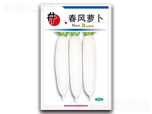 �����}��-�}���N��-�����r(n��ng)�I(y��)