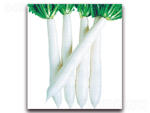 �L��ɽ-�}���N��-�����r(n��ng)�I(y��)