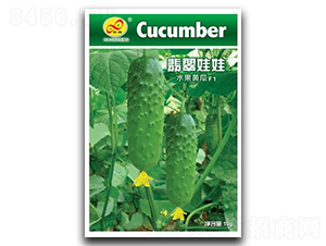 �������-�S�ϷN��-��ɷN�I(y��)