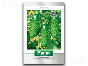 ������-�S�ϷN��-��ɷN�I(y��)