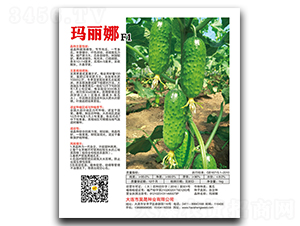 ������F1-�S�ϷN��-��ɷN�I(y��)