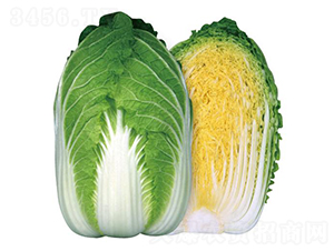 ه�S90-�ײ˷N��-�����r(n��ng)�I(y��)