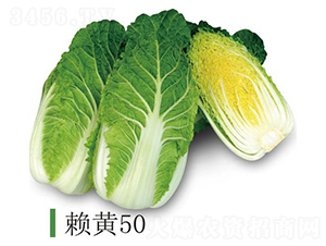 ه�S50-�ײ˷N��-�����r(n��ng)�I(y��)