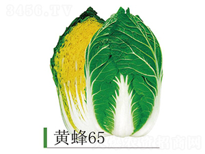 �S��65-�ײ˷N��-�����r(n��ng)�I(y��)