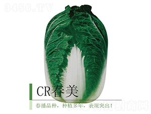 CR����-�ײ˷N��-�����r(n��ng)�I(y��)