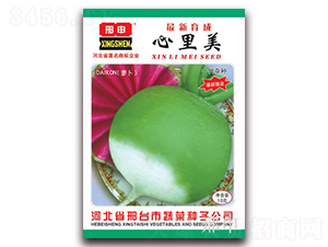 ������-�}���N��-����