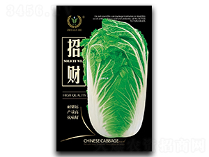 ��ؔ-�ײ˷N��-��ɷN�I(y��)