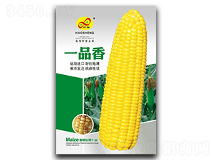 һƷ��-Ŵ���׷N��-��ɷN�I(y��)