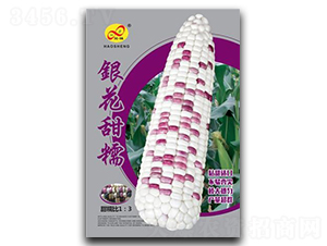 �y����Ŵ-Ŵ���׷N��-��ɷN�I(y��)